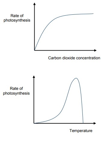 CO2Factor+Temp