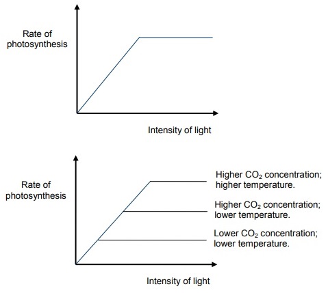 LightFactor+all